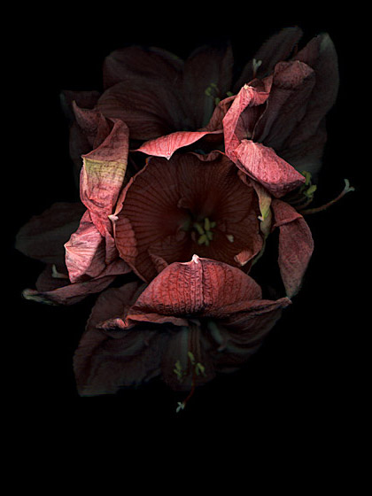 copyright_JitkaHanzlova_VGBildkunst_Flo03